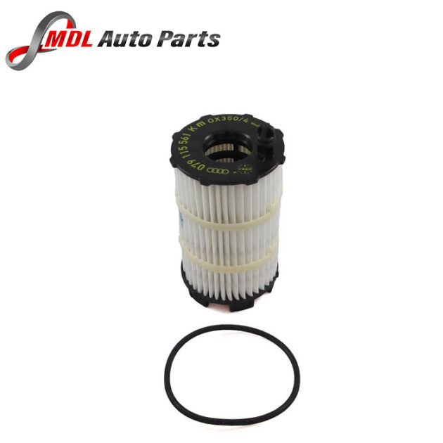 Autostar Germany OIL FILTER A4 A5 A6 A8 Q7 R8 Touareg 079198405E