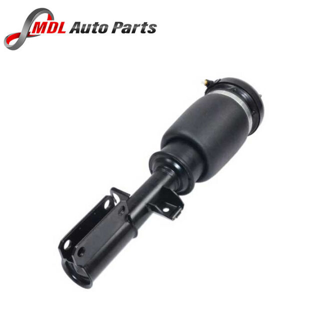 Autostar Germany SHOCK FR LH WITHOUT AIR SPRING ONLY ROD For BMW X5 37116757502