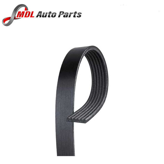 Autostar Germany V-RIBBED BELT  Both 6PK1203 LR003570