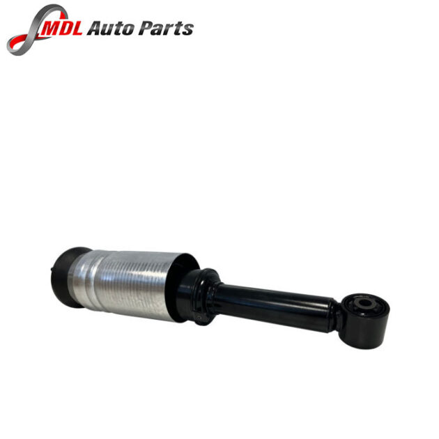 BWI Shock Absorber  LR052866